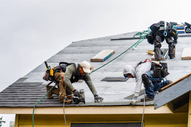 Professional Roofing technician working in Elmwood, MA